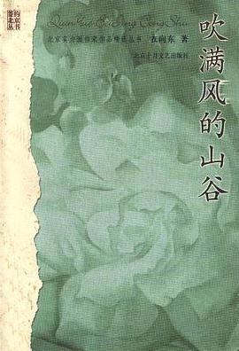 吹满风的山谷