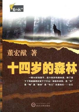 十四岁的森林