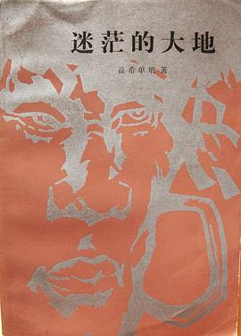 迷茫的大地