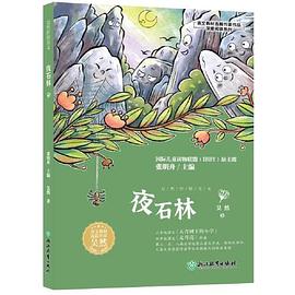 夜石林