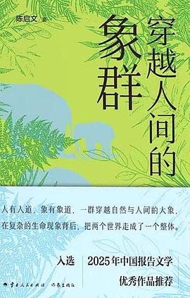 穿越人间的象群