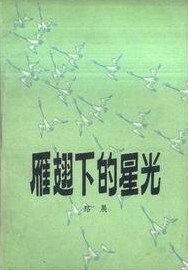 雁翅下的星光