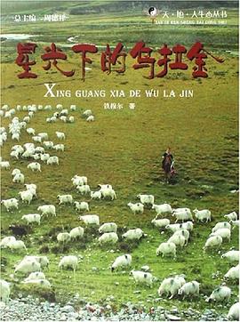 星光下的乌拉金