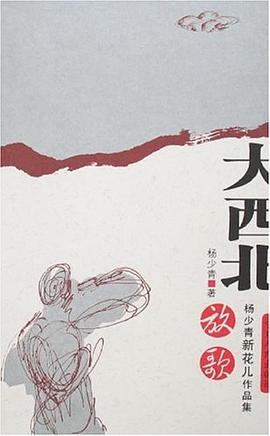 大西北放歌
