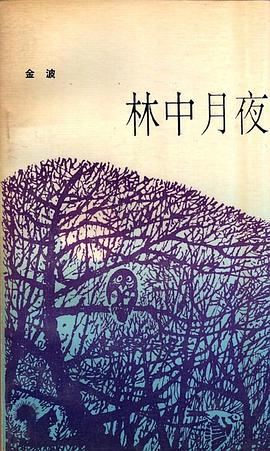 林中月夜