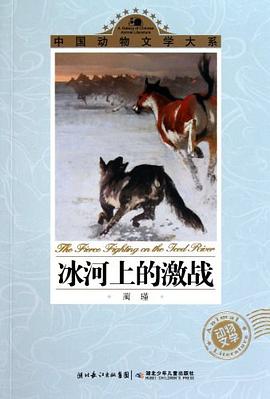 冰河上的激战
